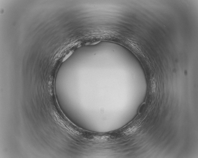 X0000053090450200508081315