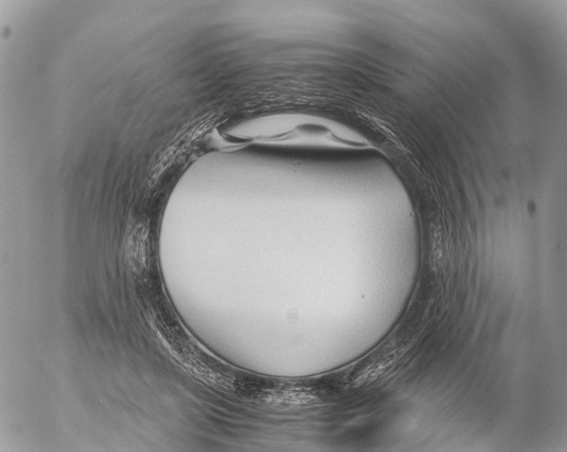 X0000053090451200508081315