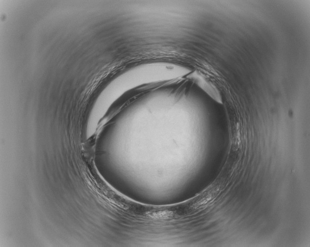 X0000053090452200508081315