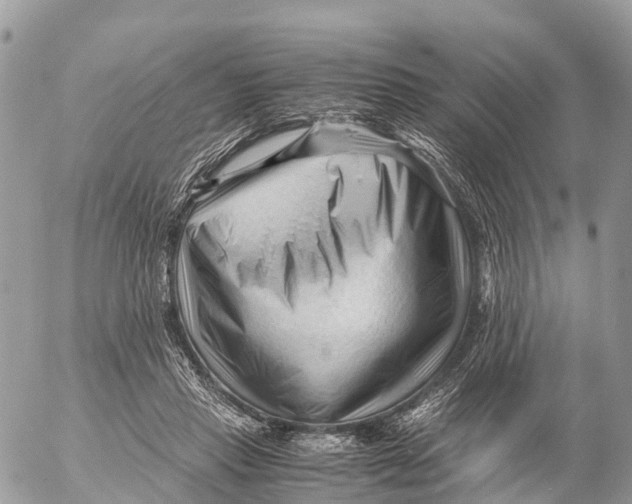 X0000053090453200508081315