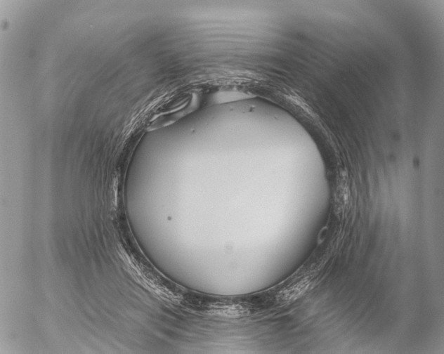 X0000053090454200508081315