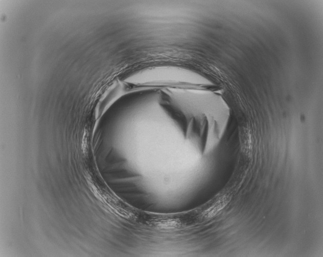 X0000053090456200508081315