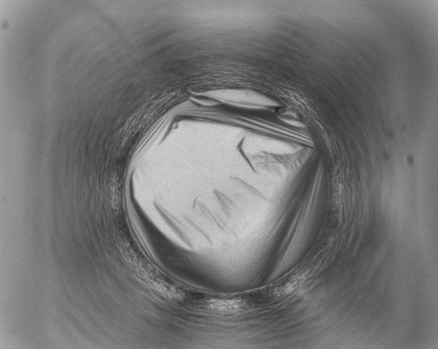 X0000053090457200508081315