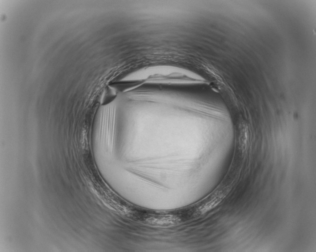 X0000053090459200508081315