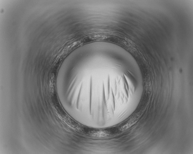 X0000053090460200508081315