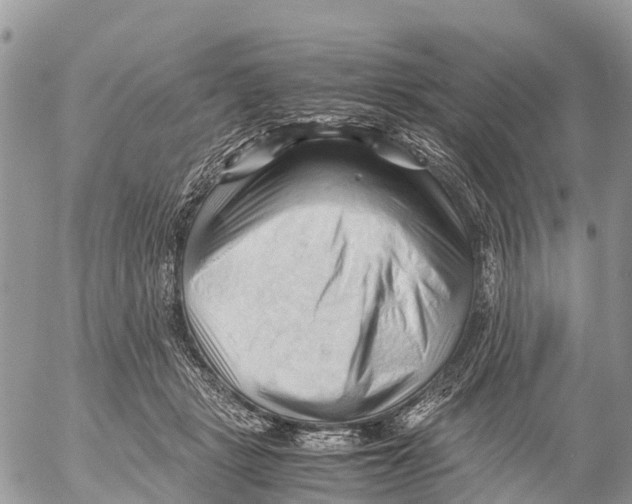 X0000053090461200508081315