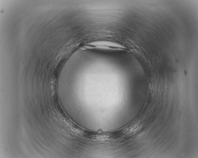 X0000053090462200508081315