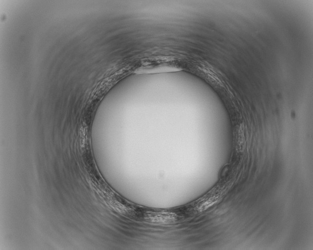 X0000053090463200508081315