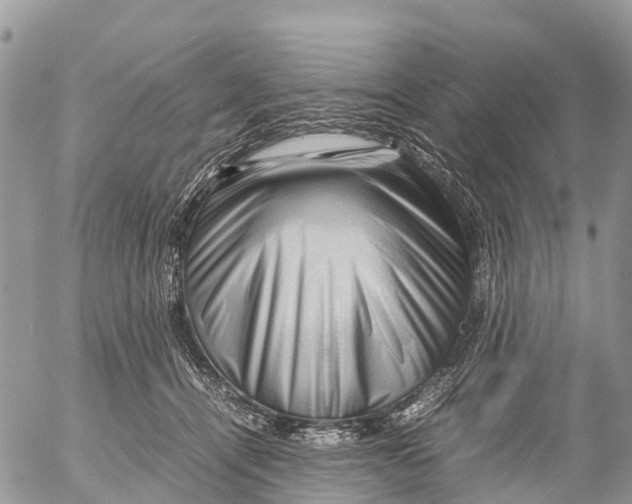 X0000053090464200508081315