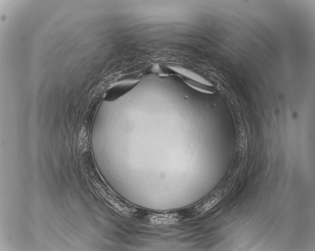 X0000053090465200508081315