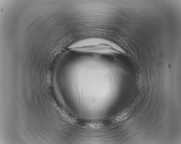 X0000053090466200508081315