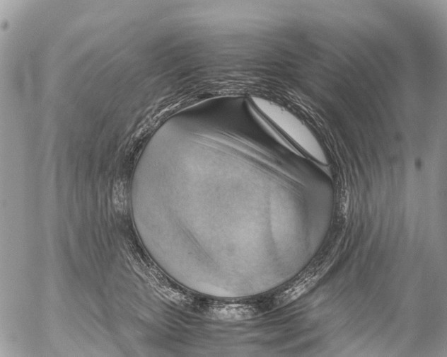 X0000053090467200508081315