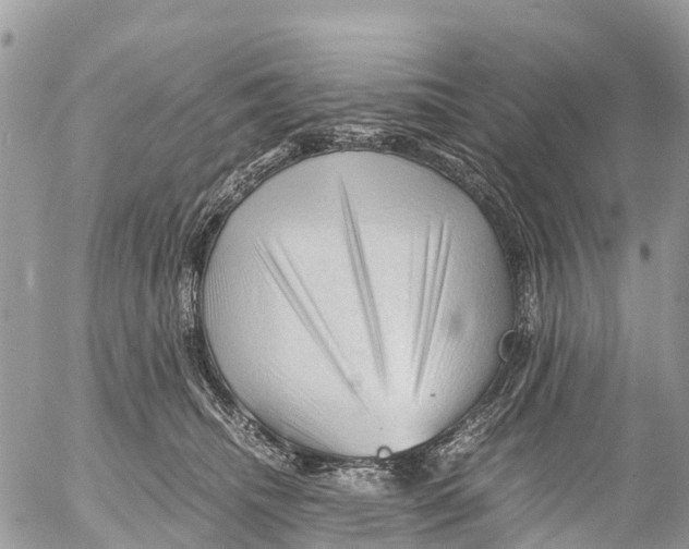 X0000053090468200508081315