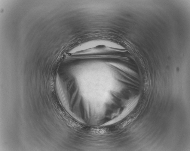 X0000053090469200508081315