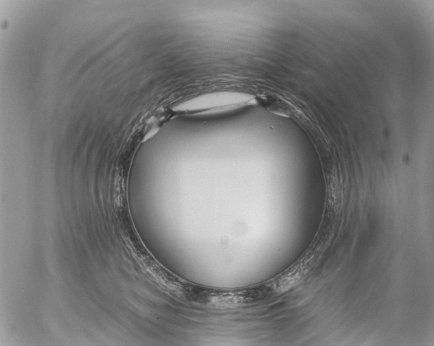 X0000053090470200508081315