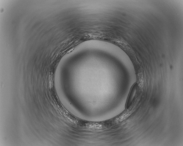 X0000053090471200508081315