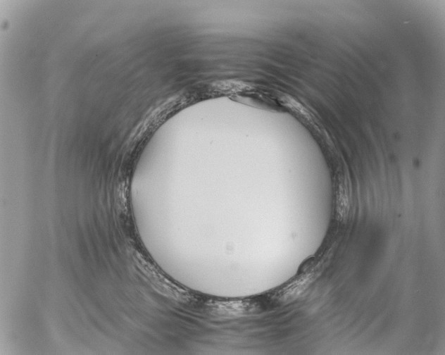 X0000053090473200508081315