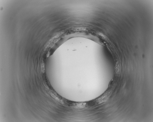 X0000053090474200508081315