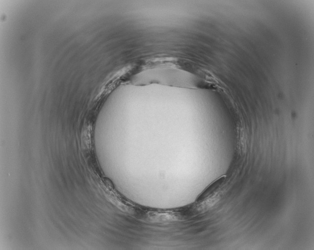 X0000053090475200508081315