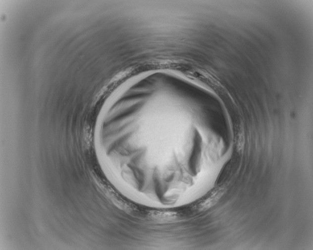 X0000053090476200508081315