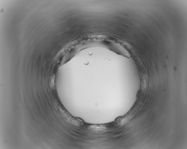 X0000053090477200508081315