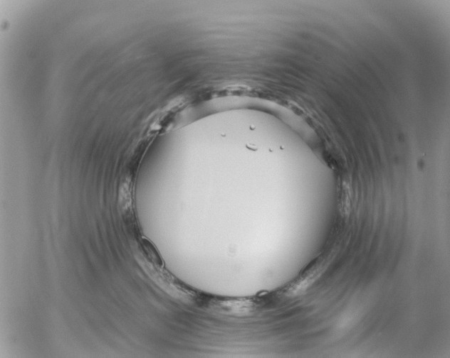 X0000053090478200508081315