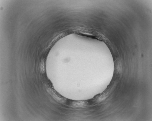 X0000053090479200508081315