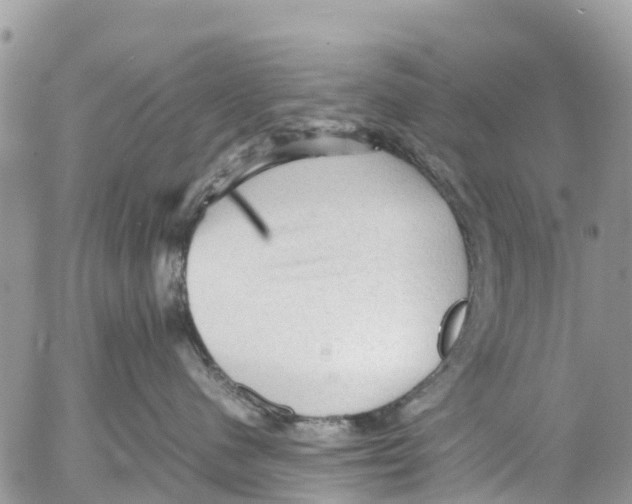 X0000053090480200508081315