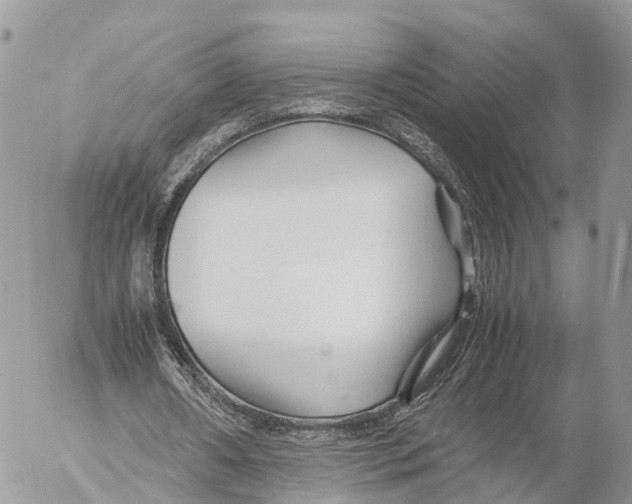 X0000053090482200508081315