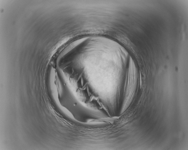 X0000053090483200508081315