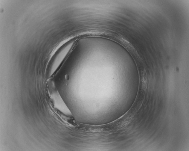 X0000053090484200508081315