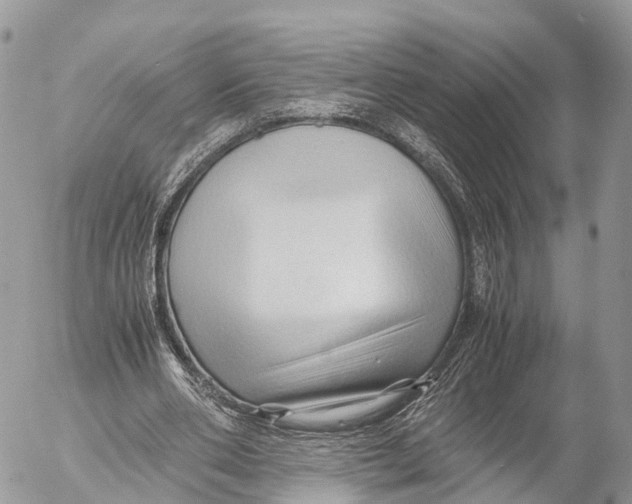 X0000053090486200508081314