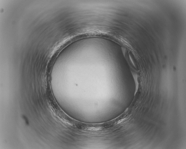 X0000053090488200508081314