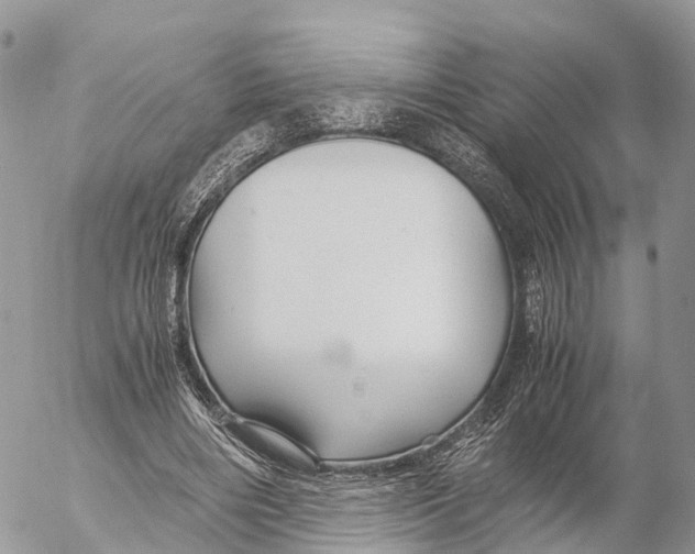 X0000053090490200508081314