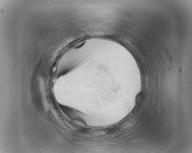 X0000053090491200508081314