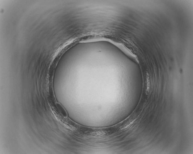 X0000053090492200508081314