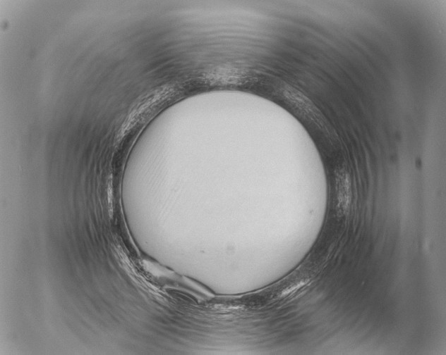 X0000053090494200508081314