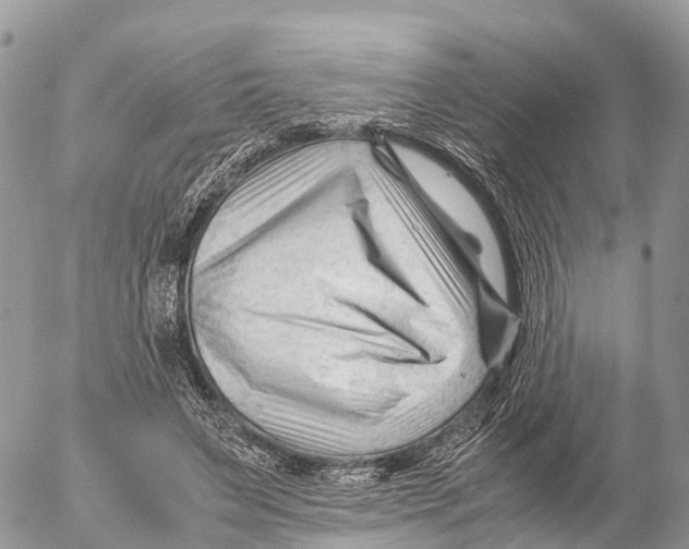 X0000053090495200508081314