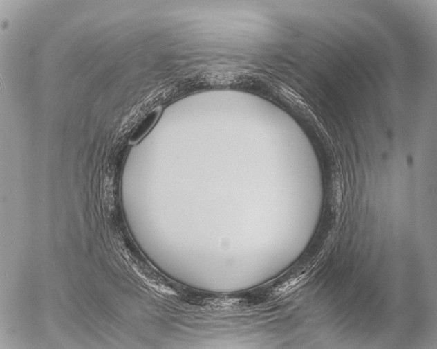 X0000053090497200508081314