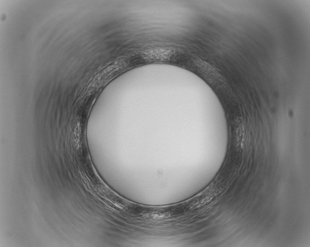 X0000053090498200508081314