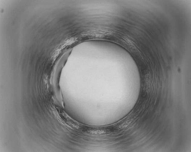 X0000053090500200508081314