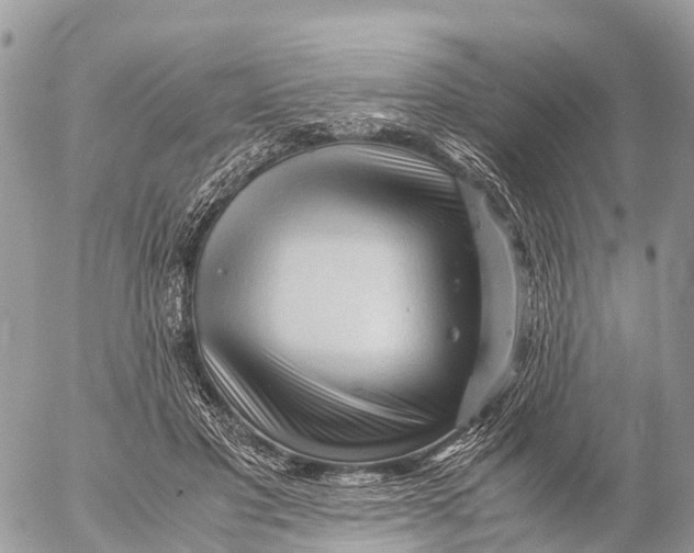 X0000053090501200508081314