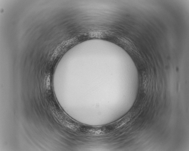 X0000053090502200508081314