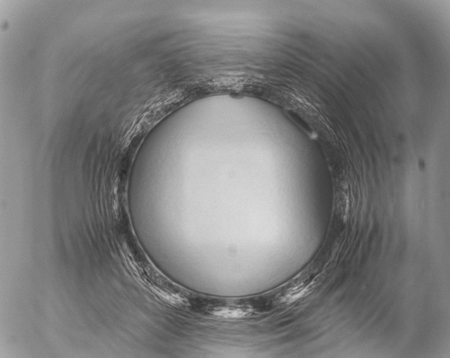 X0000053090504200508081314