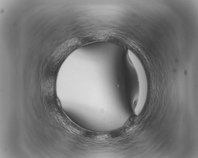 X0000053090505200508081314