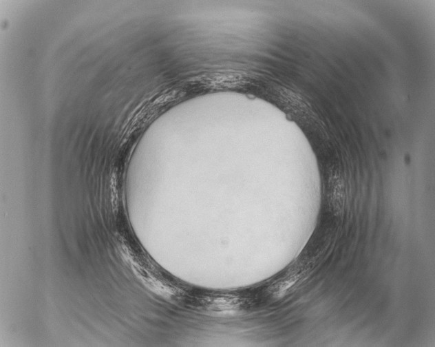 X0000053090506200508081314