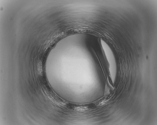 X0000053090508200508081314