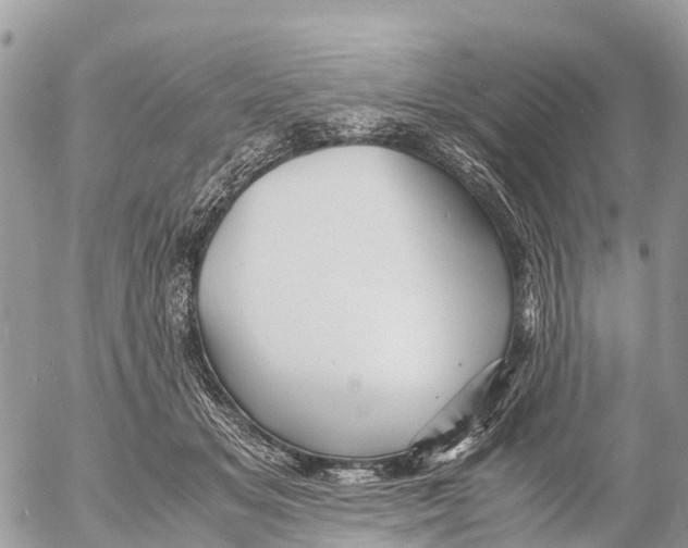 X0000053090509200508081314