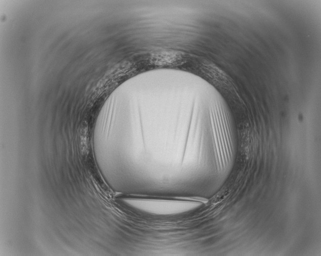 X0000053090510200508081314