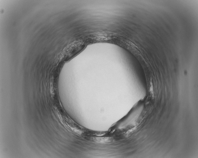 X0000053090512200508081314